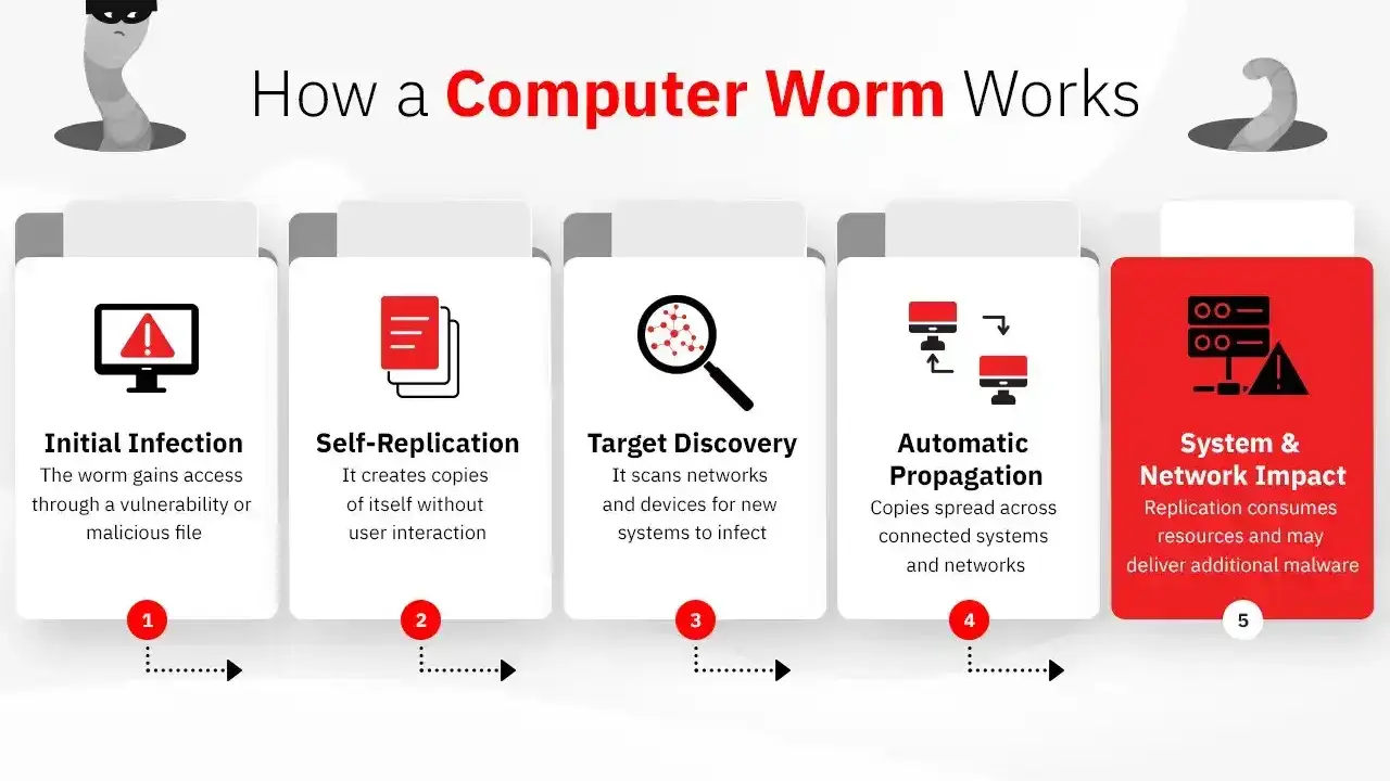 Ecco che cos’è il "worm": un'infografica spiega come si diffonde, si replica e impatta sistemi e reti, consumando risorse.