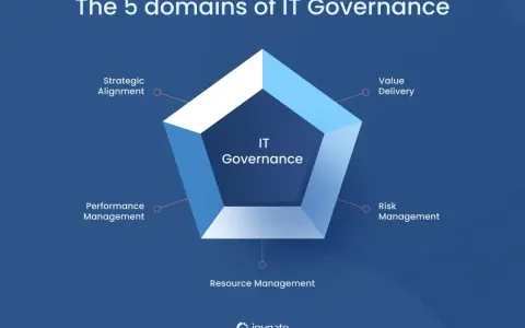 I 5 domini della governance IT: allineamento strategico, value delivery, risk management, resource management e performance management.