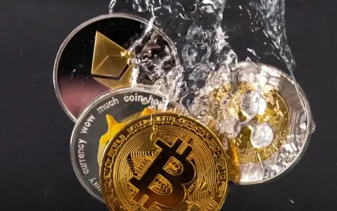 Monete di criptovalute, tra cui Bitcoin ed Ethereum, immerse nell'acqua. Un'immagine che evoca la volatilità e il potenziale delle criptovalute, come quelle che potresti considerare per il tuo 730.