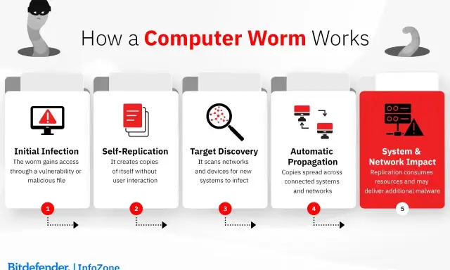 Ecco che cos’è il "worm": un'infografica spiega come si diffonde, si replica e impatta sistemi e reti, consumando risorse.