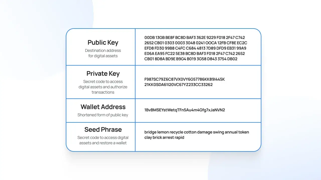 Chiavi pubbliche, private, indirizzo wallet e seed phrase. Per sapere se ho dei bitcoin, devo controllare il mio wallet address.
