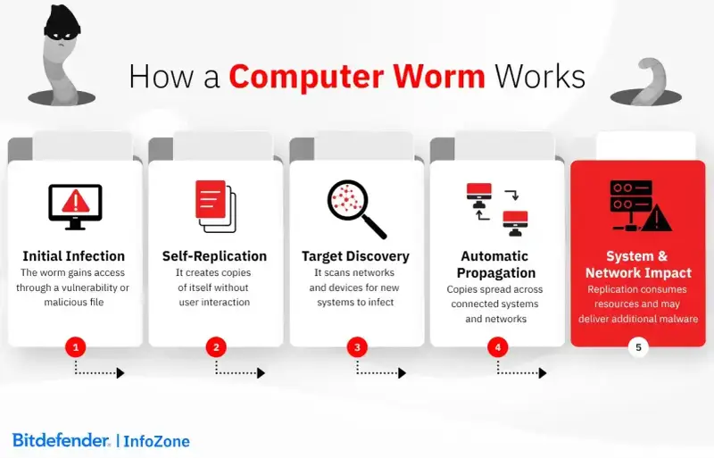 Ecco che cos’è il "worm": un'infografica spiega come si diffonde, si replica e impatta sistemi e reti, consumando risorse.